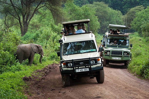 3-days-tanzania-budget-camping-safari